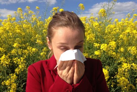 Hooikoorts: symptomen en behandeling van pollenallergie
